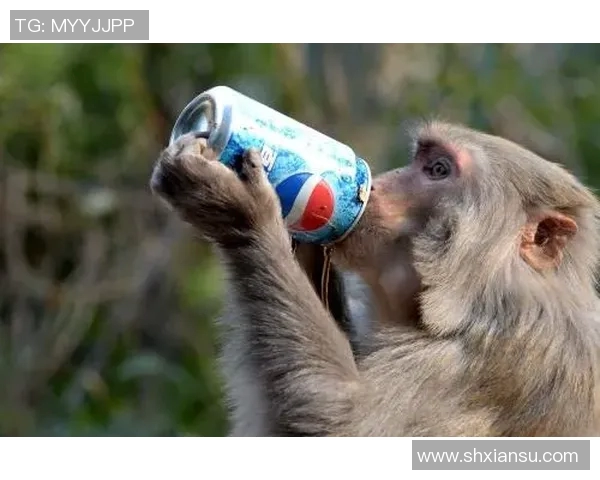 你不知道的公牛世界：十大鲜为人知的冷知识大揭秘