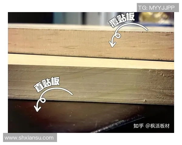 你所未曾听闻的总决赛冷知识揭秘盘点十大意想不到的隐藏细节